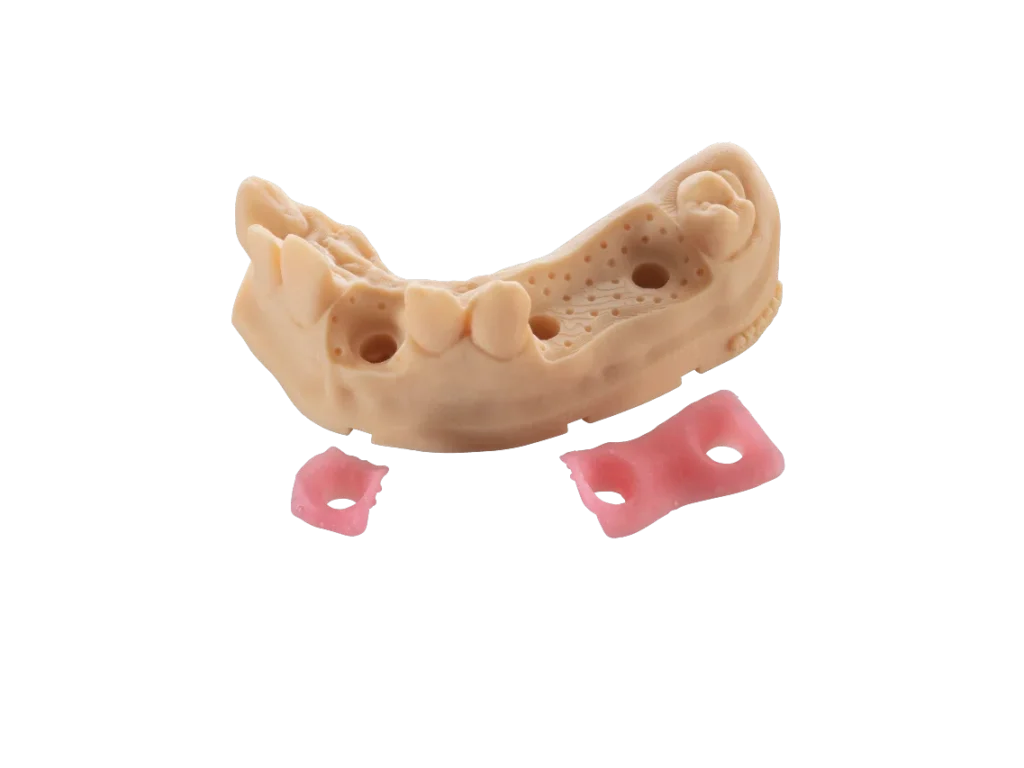 BASF Ultracur3D DM 2304 Gingiva Mask 3dcut